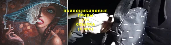 2c-b Нея