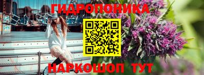 альфа пвп Аргун