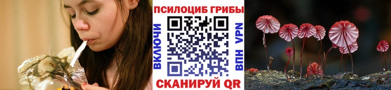 нарко площадка как зайти  Липецк  Галлюциногенные грибы GOLDEN TEACHER 