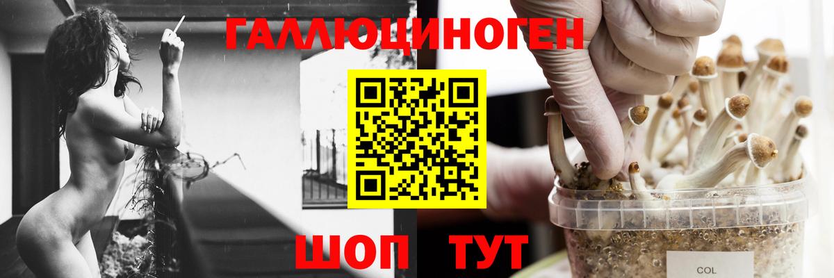 Галлюциногенные грибы GOLDEN TEACHER Липецк